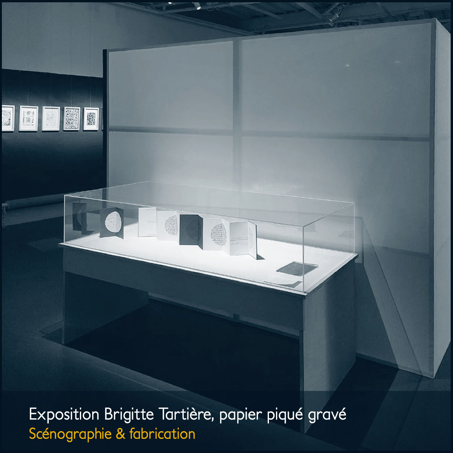 exposition brigitte tarière papier piqué gravé scénographie et fabrication